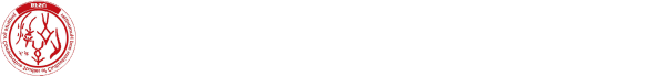 比较文明与人文交流高等研究院